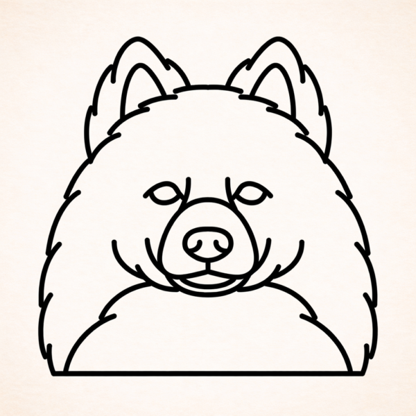 Amerikaanse eskimo hond