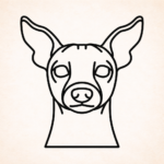 Vorige productafbeelding