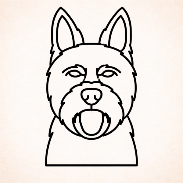 Australische terrier