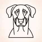 Volgende productafbeelding