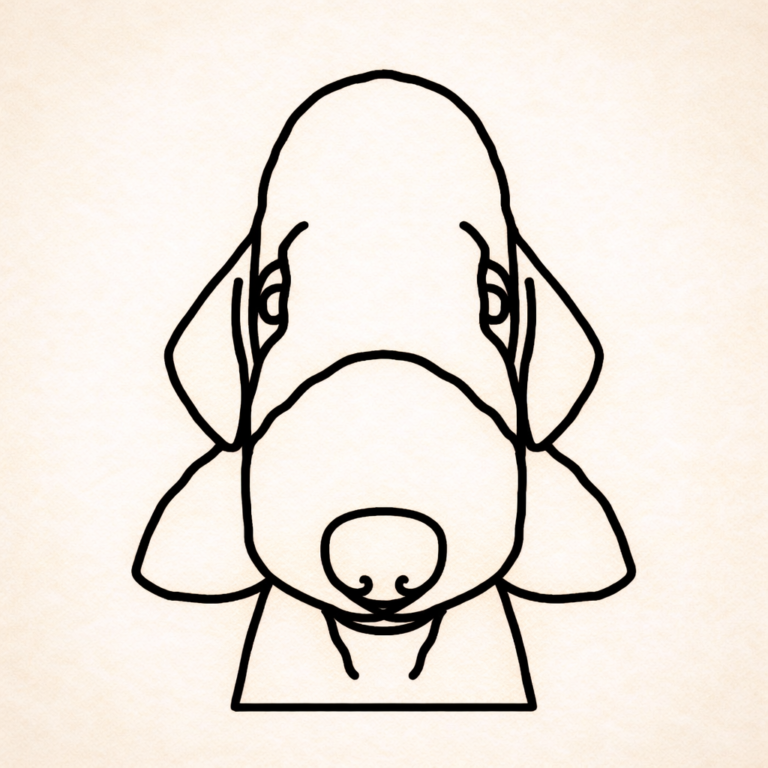 Bedlington terrier