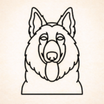 Volgende productafbeelding