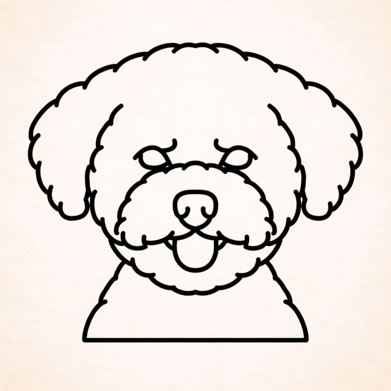 Bichon Frise