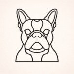 Volgende productafbeelding