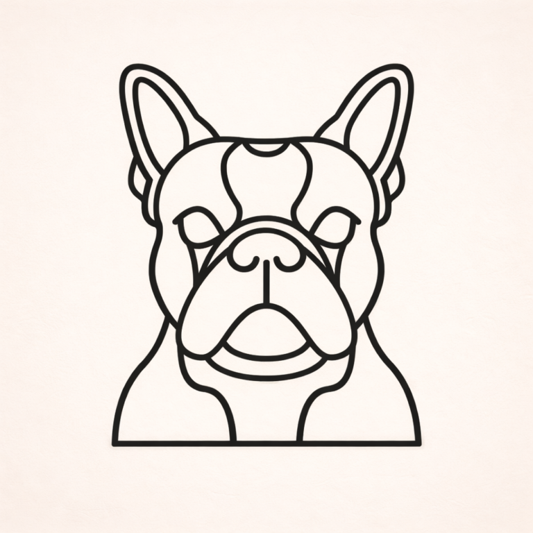 Boston terrier