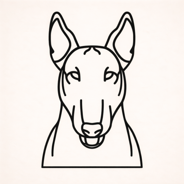 Bull terrier