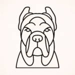 Volgende productafbeelding