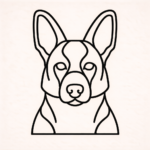 Volgende productafbeelding