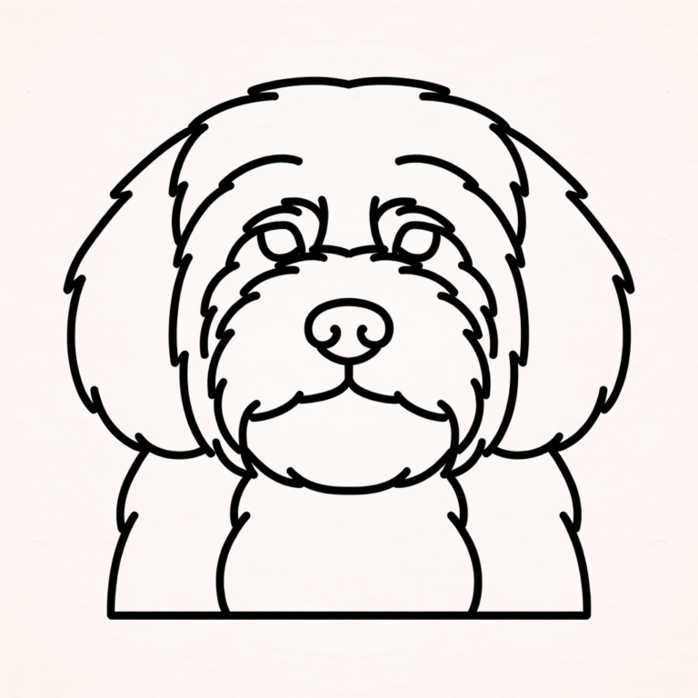 Cavoodle