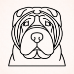 Volgende productafbeelding