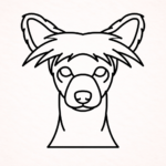 Volgende productafbeelding