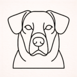 Volgende productafbeelding