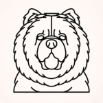 Volgende productafbeelding