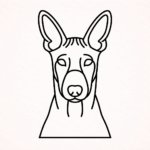 Volgende productafbeelding