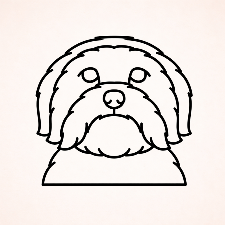 Coton de Tulear