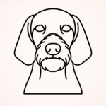 Volgende productafbeelding