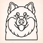 Volgende productafbeelding