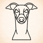 Volgende productafbeelding