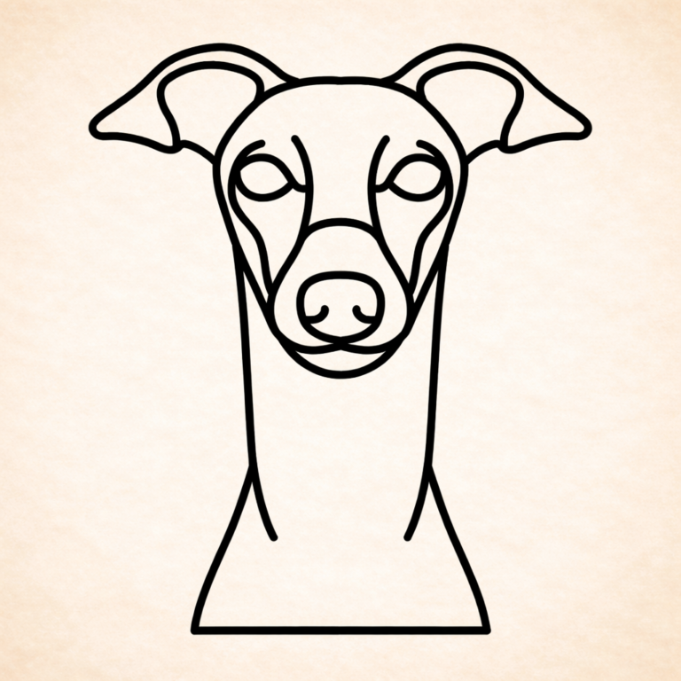Greyhounds