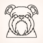 Volgende productafbeelding