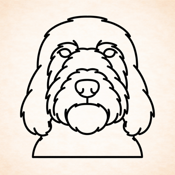 Grote Basset Griffon Vendeen