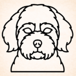 Volgende productafbeelding