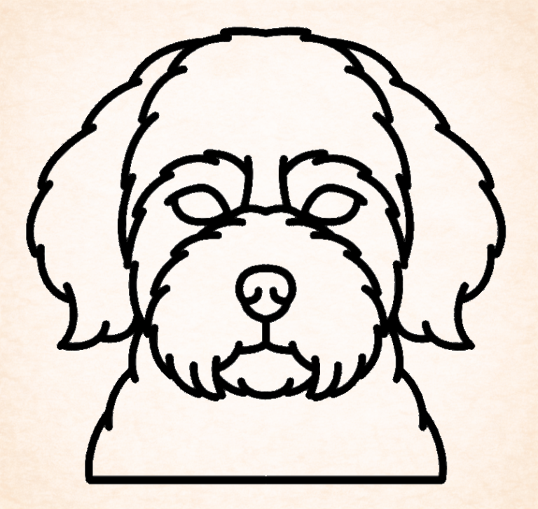 Maltipoo