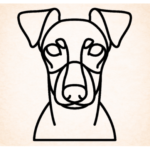 Volgende productafbeelding