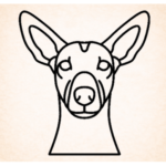 Volgende productafbeelding