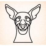 Volgende productafbeelding