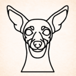 Volgende productafbeelding