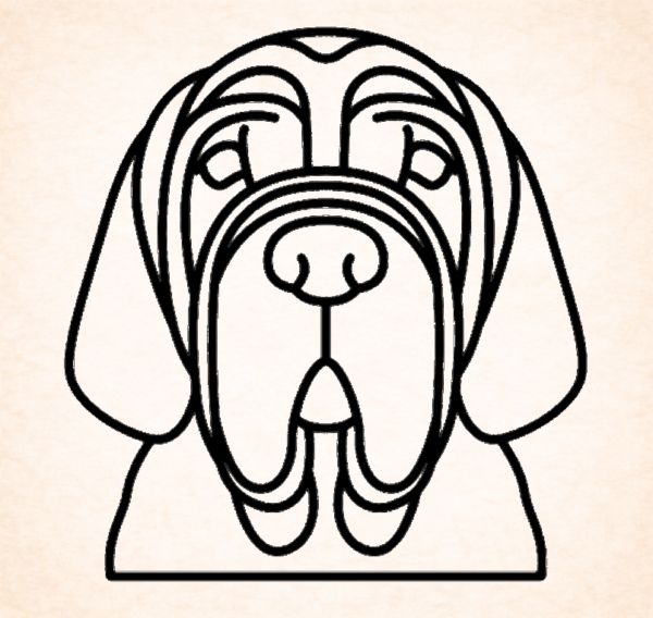 Napolitaanse mastiff