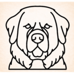 Vorige productafbeelding