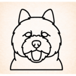 Volgende productafbeelding