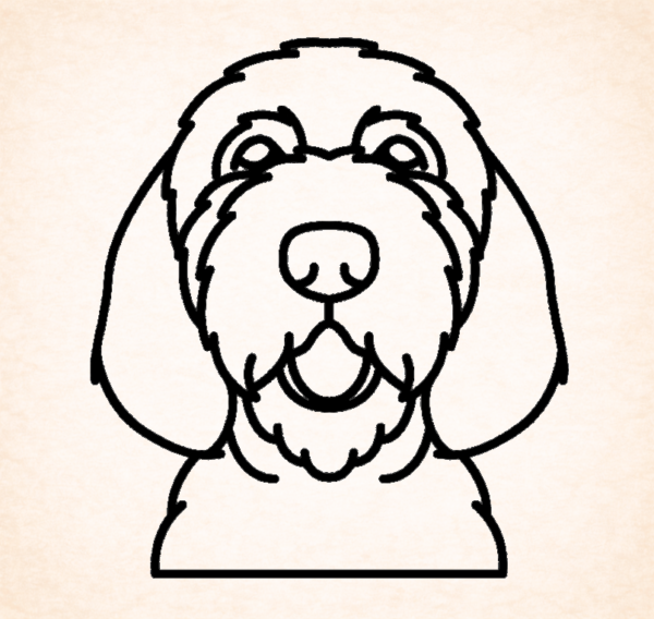 Otterhound