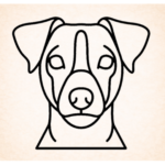 Volgende productafbeelding