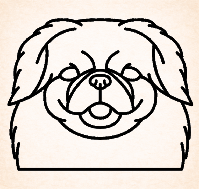 Pekingese