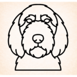 Volgende productafbeelding