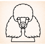 Volgende productafbeelding