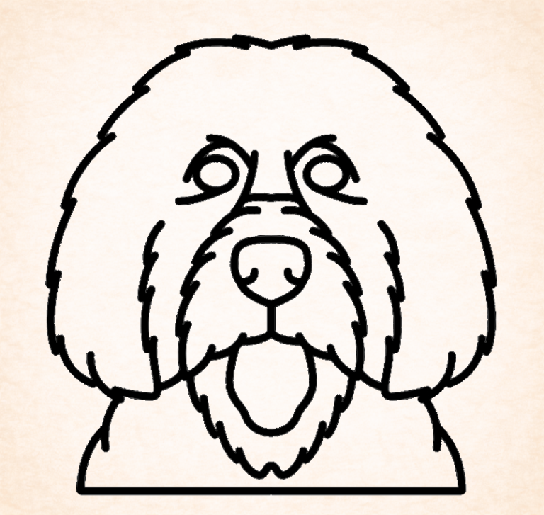 Portugese waterhond