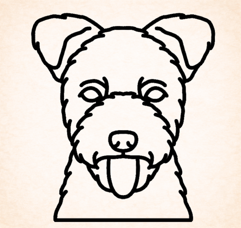 Pumi