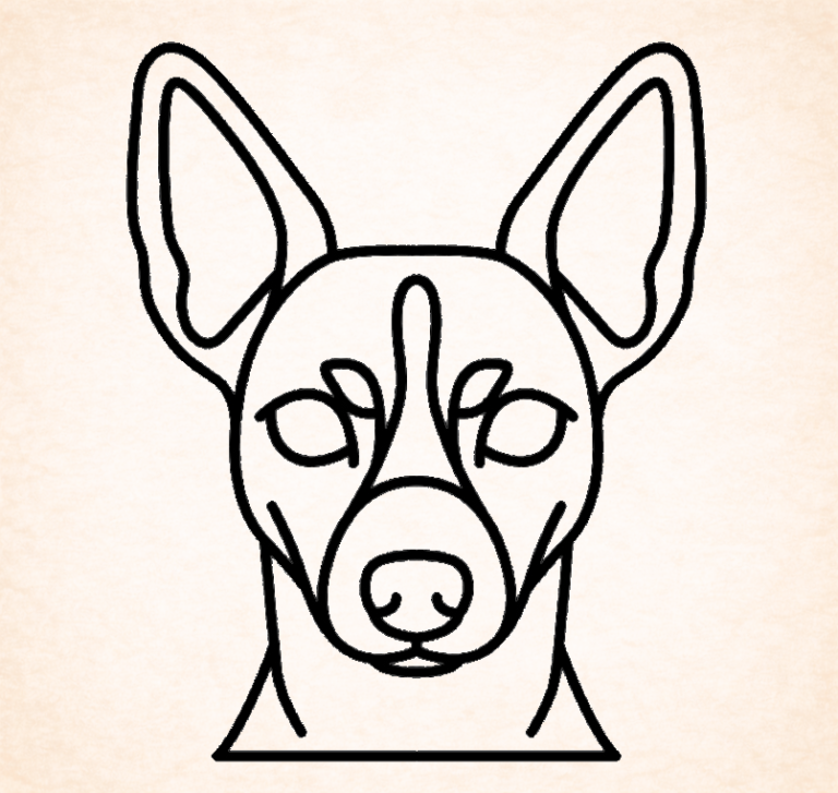 Rat terrier