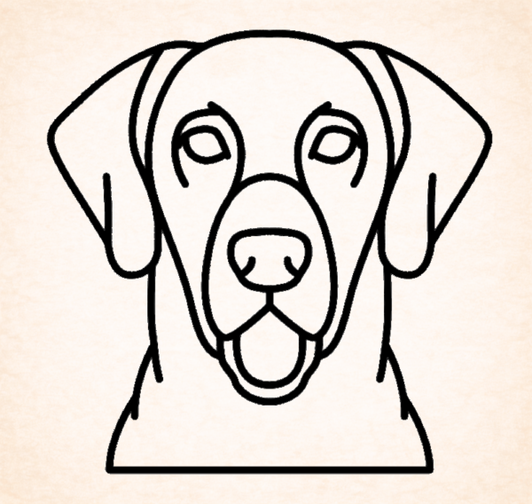 Retriever (Chesapeake Bay)