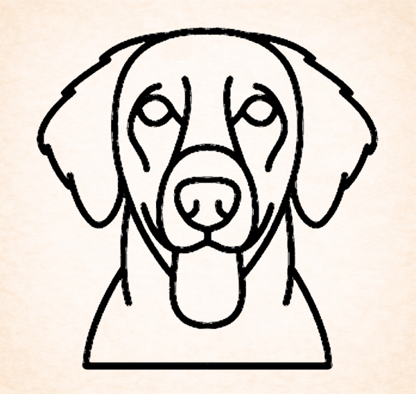 Retriever (Flat Coated)