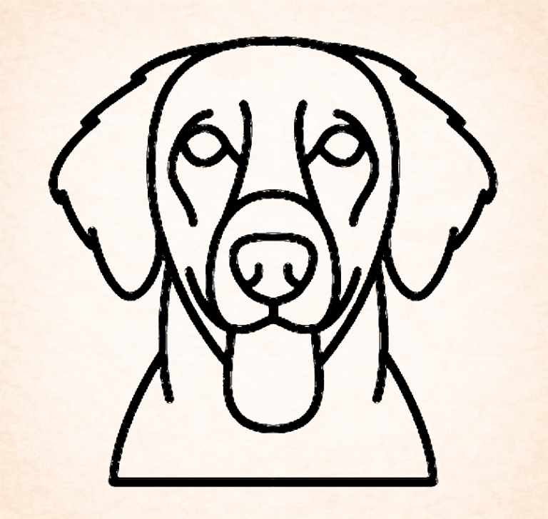 Retriever (Flat Coated)