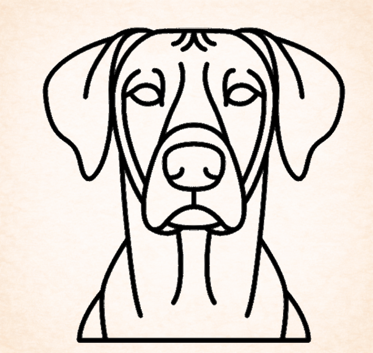 Rhodesian Ridgeback