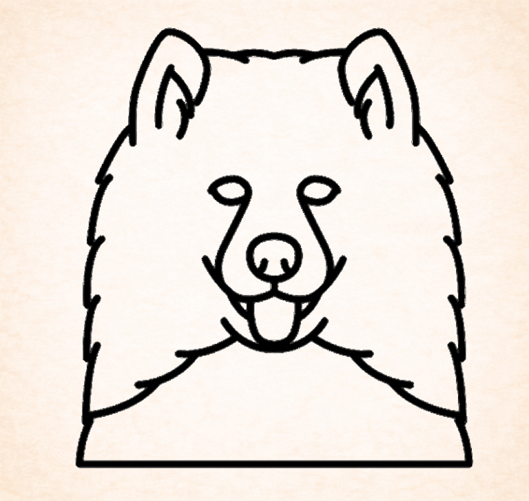 Samoyeds
