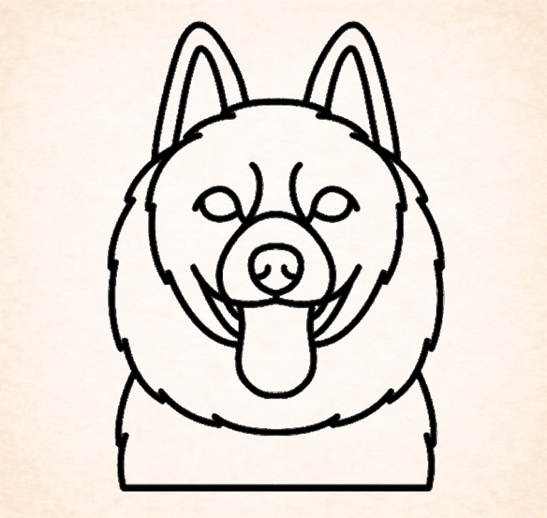Schipperkes