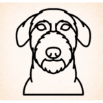 Volgende productafbeelding