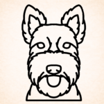 Volgende productafbeelding